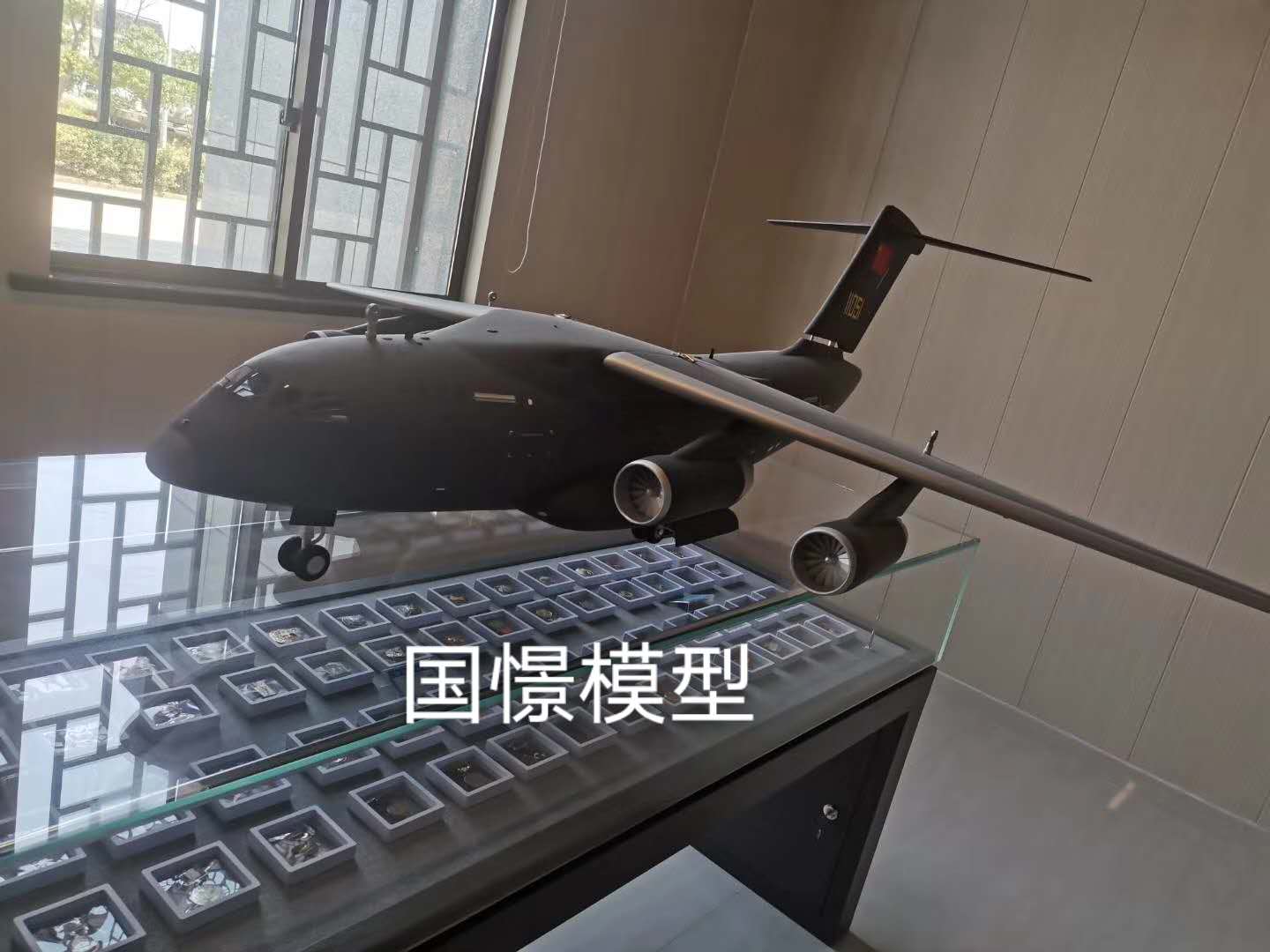 什邡市飞机模型